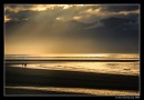 A Golden Moment At Tahunanui Beach