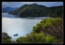 The View From Queen Charlotte Sound