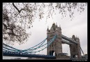 An Autumn Stroll By The Tower Bridge
