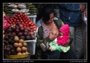 Feeding Time At A Bedugul Market