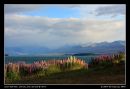 Good Morning Lake Tekapo