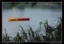 Good Morning @ Lower Seletar Reservoir