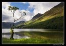 Buttermere In The Morning Light