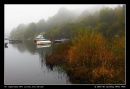 Autumn In Loch Lomond