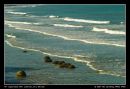 Moeraki Boulders Among The Gushing Waves