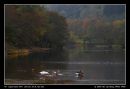 My View Of Loch Lubniag