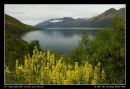 Tranquility Of Lake Wakatipu