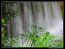 bythewaterfall28122005 01