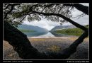 Magnificent View Of Lake Rotoiti