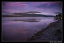 Peaceful Lake Te Anau
