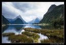 The Tranquility Of Milford Sound