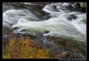 Gushing Rapids